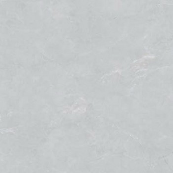 Плитка Almera Ceramica PN03 Light Grey Pol 1000x1000
