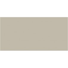 Ape Champagne Matt Rect 1200X600