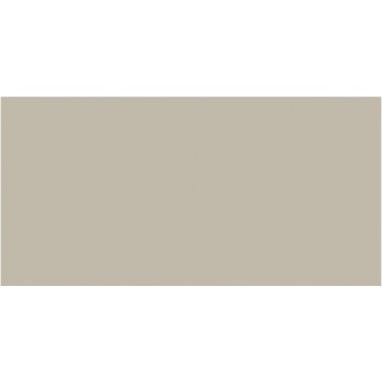 Ape Champagne Matt Rect 1200X600