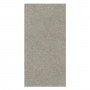 Плитка Atlas Concorde Boost Mineral Grey Matt (AHUD) 1200x600