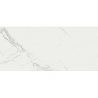 Atlas Concorde 4Mpc Marvel Calacatta Extra 110 500x1100