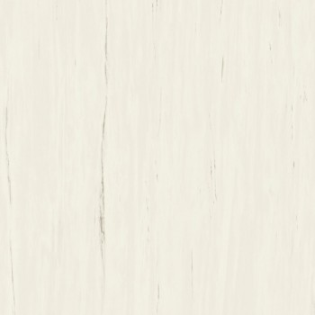 Плитка Atlas Concorde Marvel Stone Bianco Dolomite Matt (A204) 1200x1200