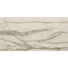 Плитка Azteca Amazonas Forest lux 1200x600