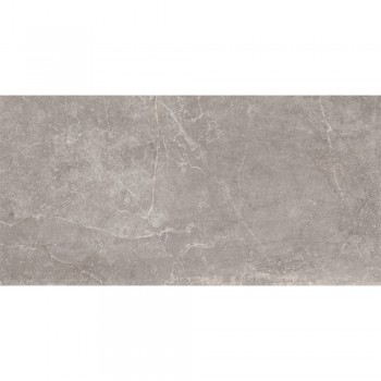 Плитка Baldocer Concept Grey Rectificado 1200x600