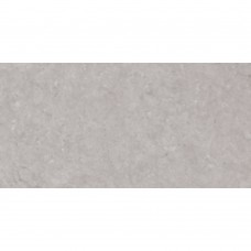 Плитка Ceramica Deseo Dual Grey 600x300