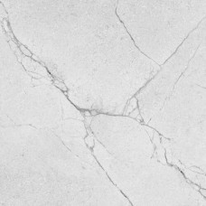 Плитка Ceramica Deseo Segesta Silver 600x600