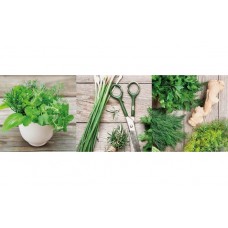 Ceramika Color Lakewood Greenline 2 200x600