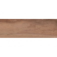 Ceramika Color Terra Brown 250x750