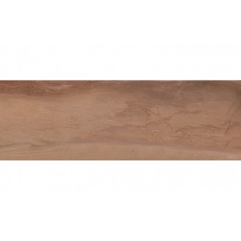 Ceramika Color Terra Brown 250x750