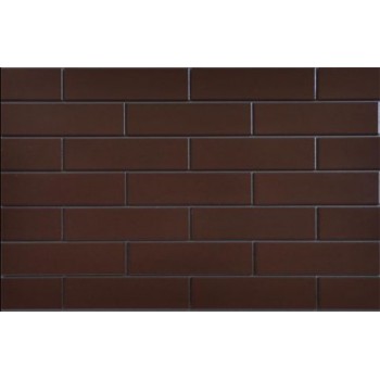 Cerrad Braz Glazed 65X245