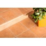 Сходинка пряма Cerrad Cottage Curry 300x300