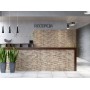 Cerrad Kallio Terra 150X450