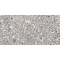 Плитка Cerrad Gres Ceppo Nuovo Silver Rect 597x1197