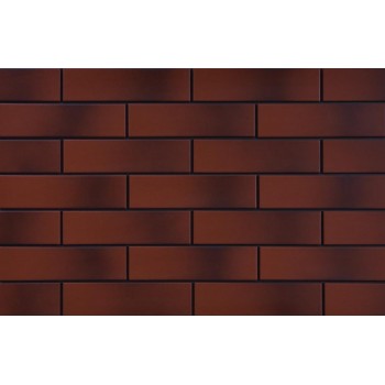 Cerrad Burgund (З Відтінком) 65X245
