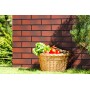 Cerrad Burgund (З Відтінком) 65X245