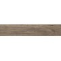 Cerrad Catalea Brown 175X900