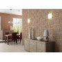 Cerrad Cer 22 Radonit 148X300