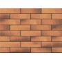 Cerrad Retro Brick Curry 65X245