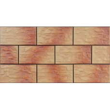 Cerrad Cer 3 Осінній Лист 148X300