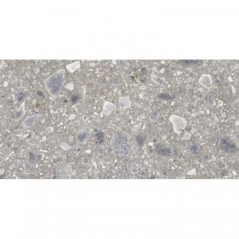Плитка Cerrad Gres Ceppo Nuovo Silver Poler 597x1197