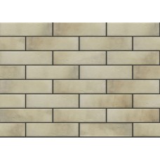 Cerrad Retro Brick Salt 65X245