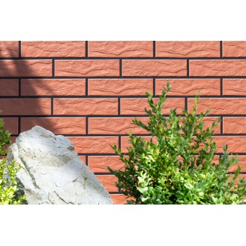 Cerrad Rot Rustiko 65X245