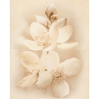 Декор Cersanit Dec Diana Flower 2