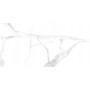Cicogres Porc Rect Alsacia(Mt) 1500X750