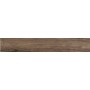 Dom Ceramiche Logwood Nut 16,4x99,8
