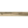 Dom Ceramiche Allwood Noce 16,4x99,8