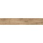 Dom Ceramiche Logwood Beige 16,4x99,8