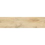 Dom Ceramiche Logwood Cream 24,8x99,8