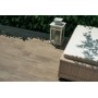 Dom Ceramiche Logwood Cream 16,4x99,8