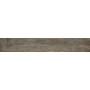 Dom Ceramiche Barn Wood Grey 16,4x99,8