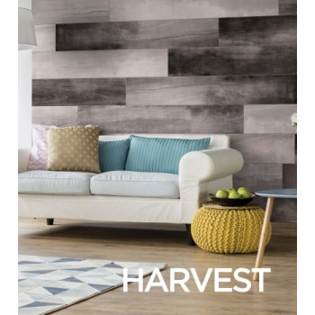 Ege Seramik Harvest Grey Mix 200X1200