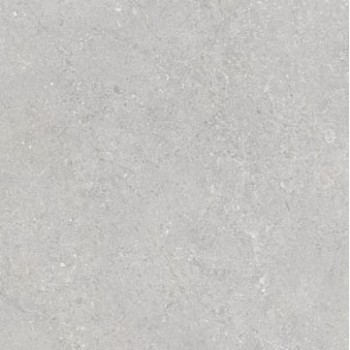 Плитка Emigres Варсовія Xl Гріс Рек. 600x600