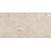 Emil Ceramica Ego Sabbia 60*120