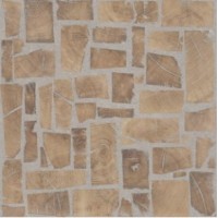 Emil Ceramica Alter Noce Incontro 60*60