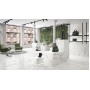 Emil Ceramica Bianco D'Italia Calacatta 294X590