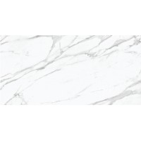 Emil Ceramica Statuario Michelangelo 120x240