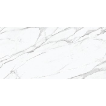 Emil Ceramica Statuario Michelangelo 120x240