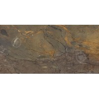 Emil Ceramica Fossil Brown 59*118,2