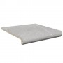Ступень прямая с капиносом Exagres Peldano Ml Albaroc Galena 330x330