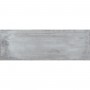Плитка Geotiles Inox Gris Rect 900x300