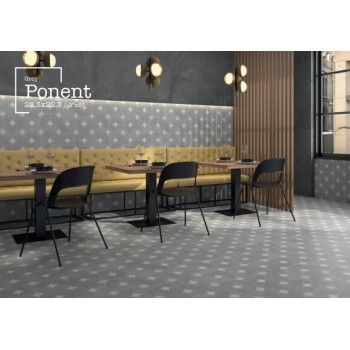 Geotiles Ponent Grey 223X223