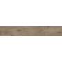 Плитка Golden Tile 897120 Alpina Wood 1198x198