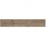 Плитка Golden Tile Alpina Wood Brown 897190 900x150