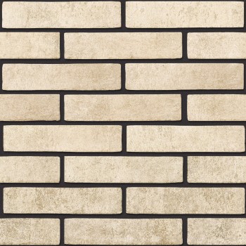 Плитка Golden Tile Seven Tones Бежевый 341010 250x60x6