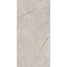Плитка Golden Tile Barcelona Grey BL290 1200x600