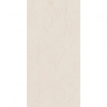 Intercerama Duster 240120 04 021 1200X2400